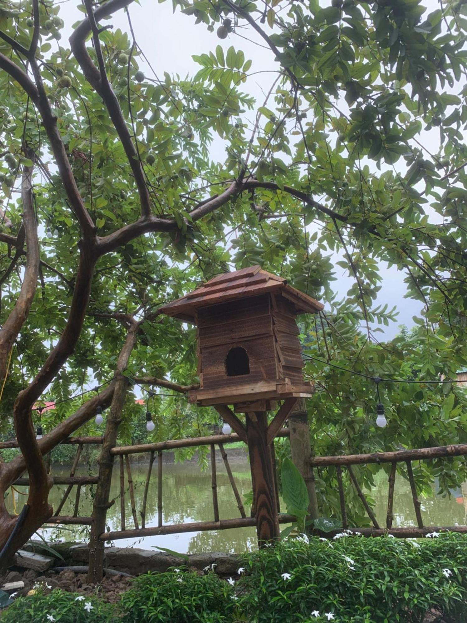 Peaceful Refuge Homestay Ninh Bình Ngoại thất bức ảnh